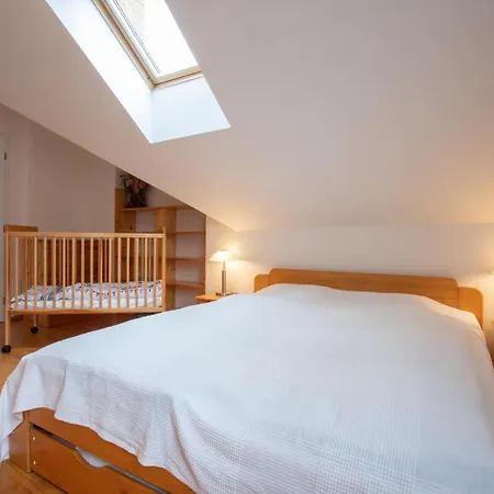 Apartmán Krásný vybavený byt u sjezdovky